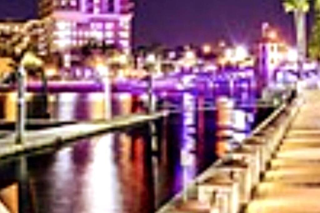 House Close To Downtown, Airport, Raymond James Stadium, And Many More Places Tampa Dış mekan fotoğraf